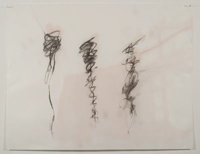 003 Honours Archive September 25 2016 92