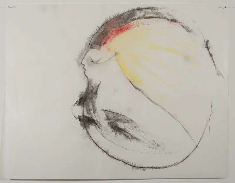 003 Honours Archive September 25 2016 98