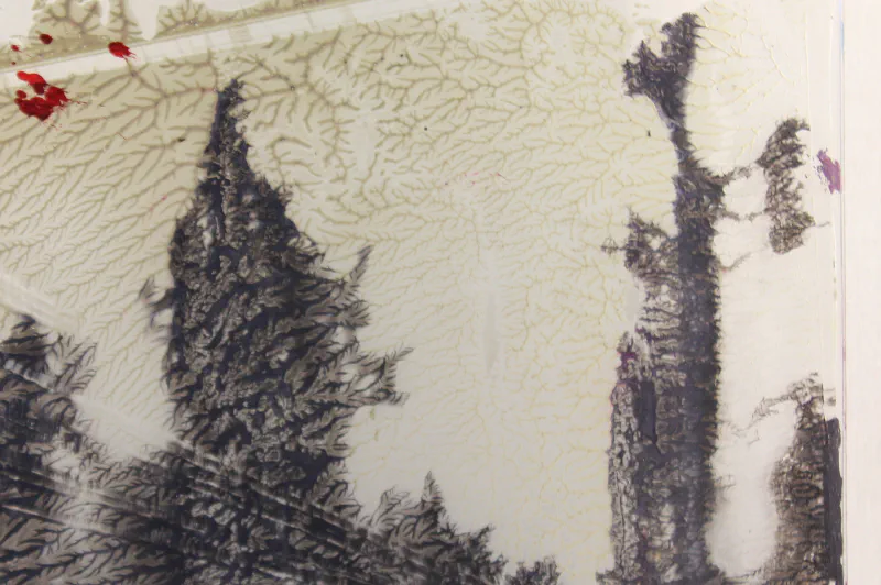 Skennedysp019 E1446265485929